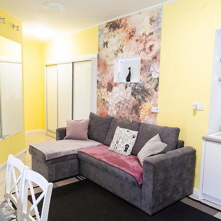 Apartament Przy Rynku Ostrowiec Świętokrzyski Dış mekan fotoğraf